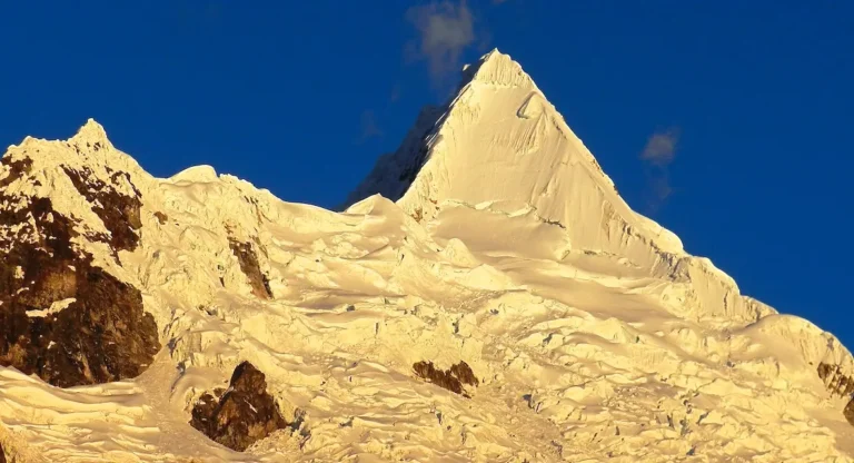Cedros_alpamayo_santaCruz-1