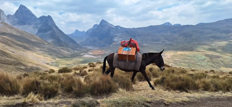 Huayhuash-10d (7)
