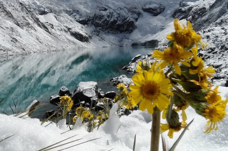 LakeCuchillacocha